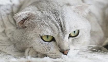 金沙乐娱场app——尽享娱乐新体验