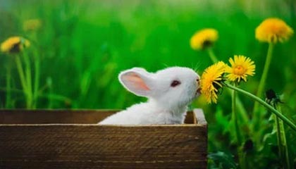 金沙乐娱场app——尽享娱乐新体验